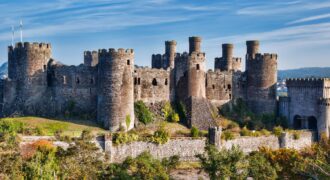 Protected: CASTLE IN COSTA DORADA