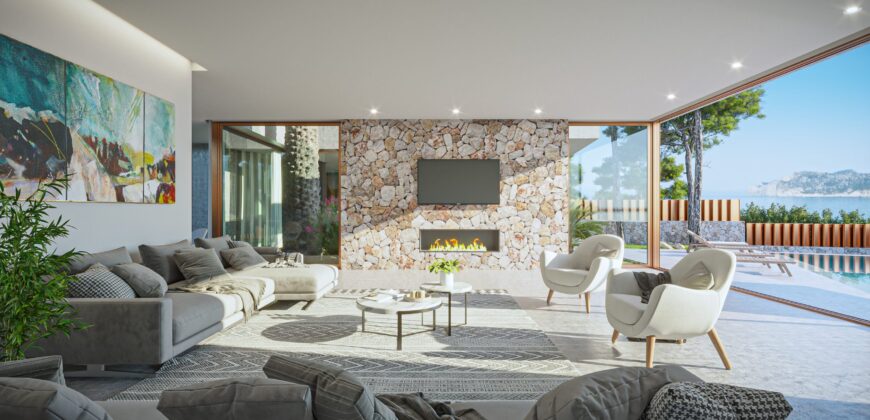 WITH PROJECT & LICENCE