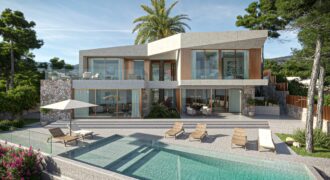 WITH PROJECT & LICENCE