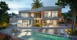 WITH PROJECT & LICENCE