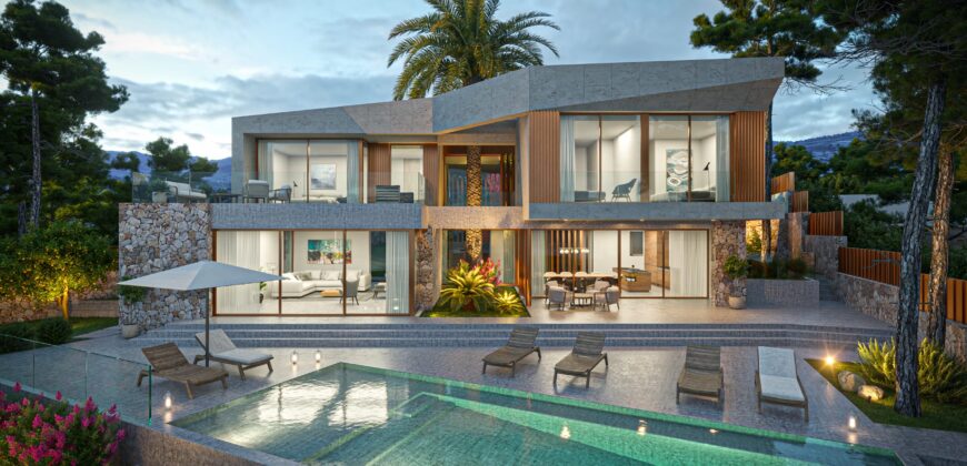 WITH PROJECT & LICENCE