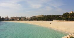 PROJECT AND LICENCE BEACH SIDE