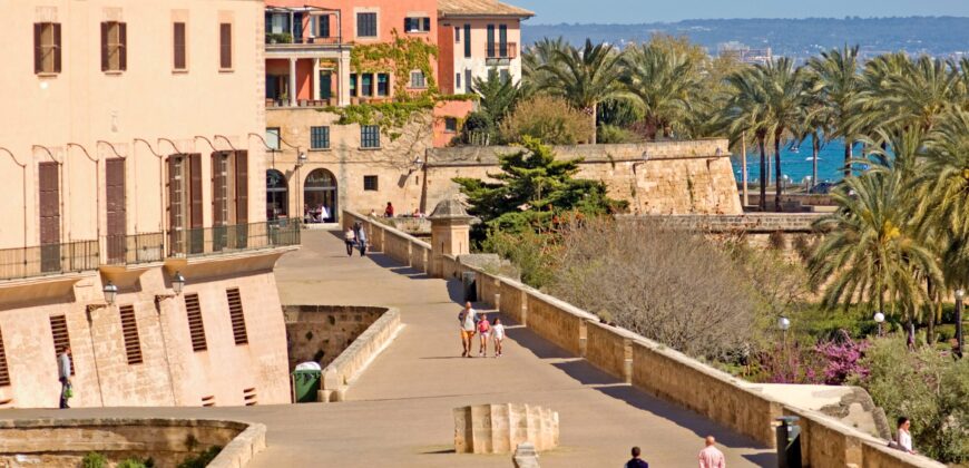 Protected: UNIQUE AND EXCLUSIVE BUILDING – Palma City Center