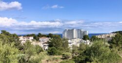 NEWLY BUILT BEACH AREA